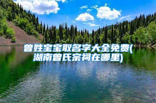 曾姓宝宝取名字大全免费(湖南曾氏宗祠在哪里)