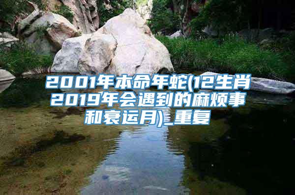2001年本命年蛇(12生肖2019年会遇到的麻烦事和衰运月)_重复