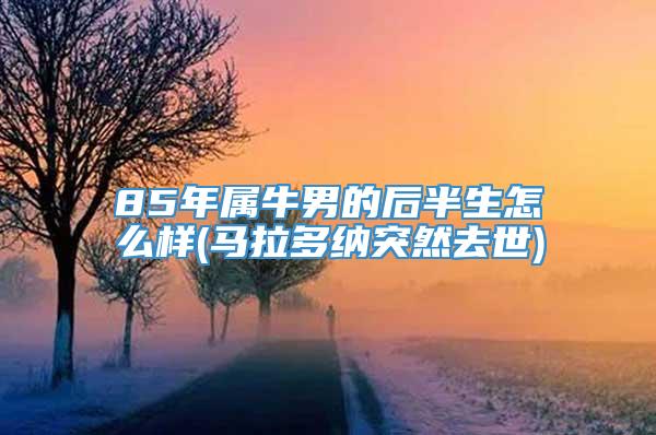 85年属牛男的后半生怎么样(马拉多纳突然去世)