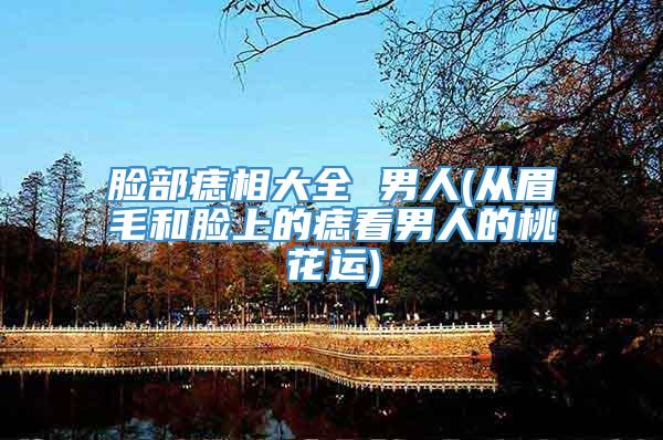 脸部痣相大全 男人(从眉毛和脸上的痣看男人的桃花运)