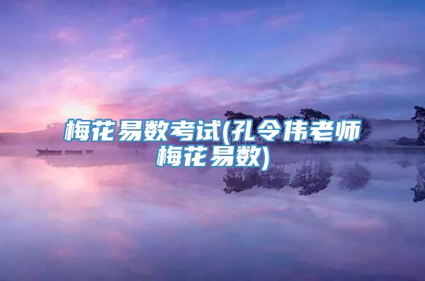 梅花易数考试(孔令伟老师梅花易数)
