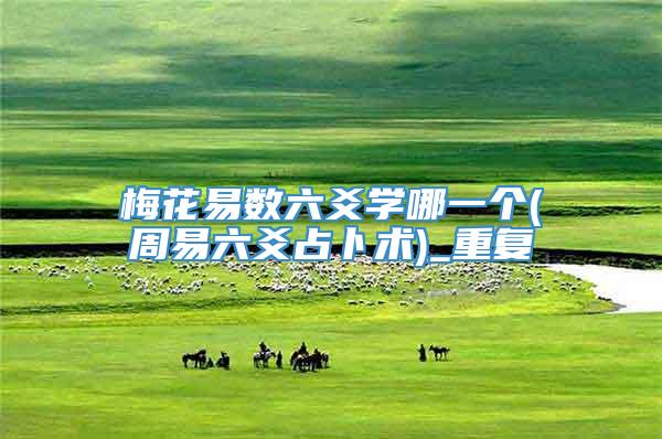 梅花易数六爻学哪一个(周易六爻占卜术)_重复