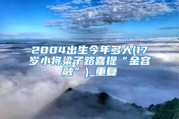 2004出生今年多大(17岁小将梁子路喜提“金容融”)_重复