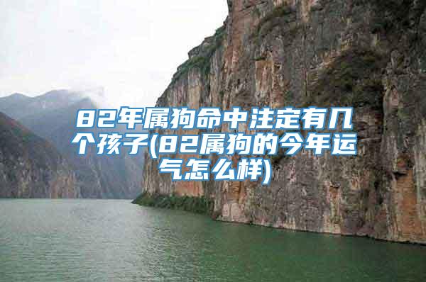 82年属狗命中注定有几个孩子(82属狗的今年运气怎么样)