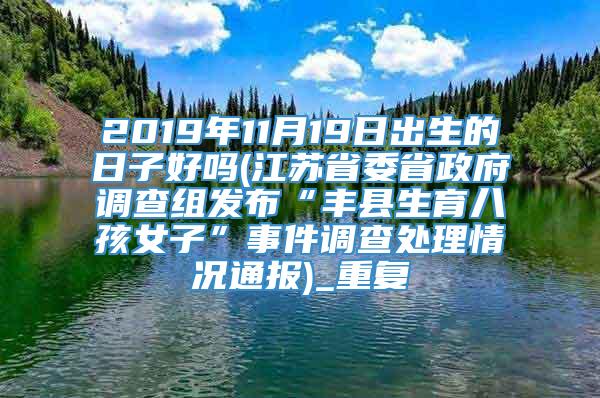 2019年11月19日出生的日子好吗(江苏省委省政府调查组发布“丰县生育八孩女子”事件调查处理情况通报)_重复