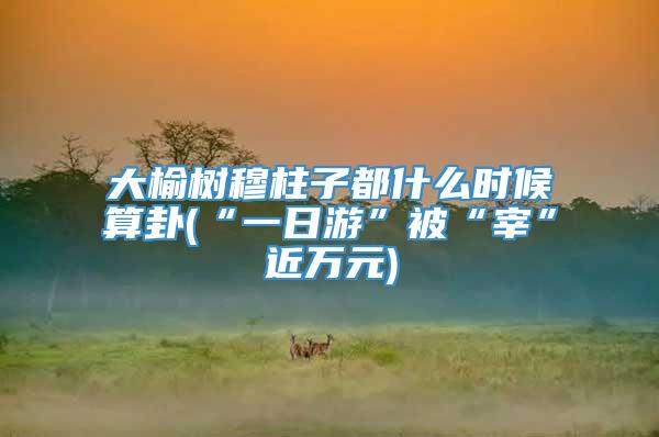 大榆树穆柱子都什么时候算卦(“一日游”被“宰”近万元)