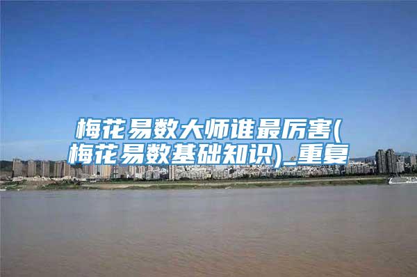 梅花易数大师谁最厉害(梅花易数基础知识)_重复