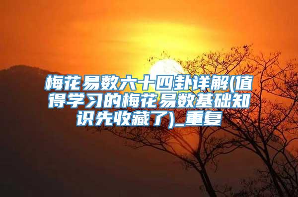 梅花易数六十四卦详解(值得学习的梅花易数基础知识先收藏了)_重复