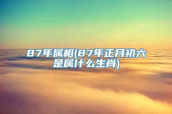 87年属相(87年正月初六是属什么生肖)