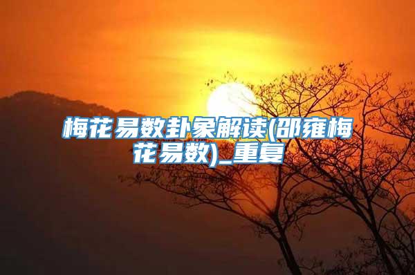 梅花易数卦象解读(邵雍梅花易数)_重复