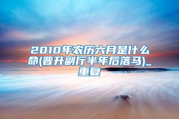 2010年农历六月是什么命(晋升副厅半年后落马)_重复