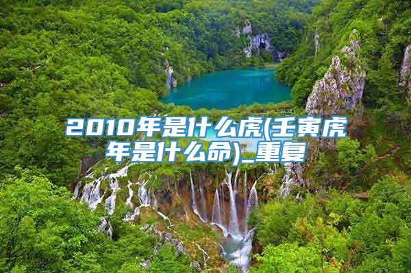 2010年是什么虎(壬寅虎年是什么命)_重复