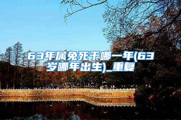 63年属兔死于哪一年(63岁哪年出生)_重复