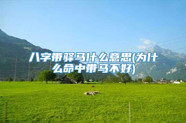 八字带驿马什么意思(为什么命中带马不好)