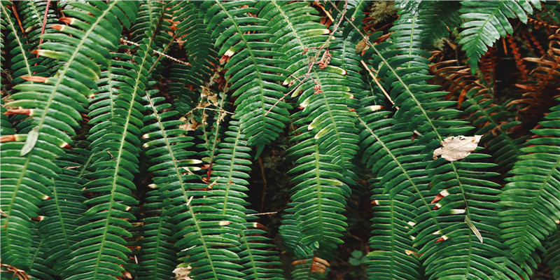 河北3市实名曝光!这95人将处处受限