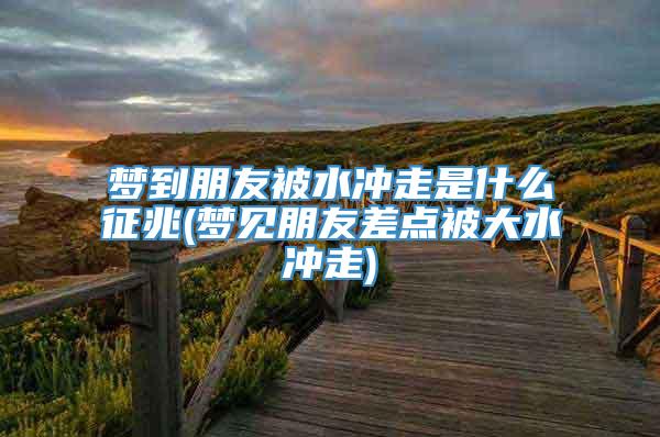 梦到朋友被水冲走是什么征兆(梦见朋友差点被大水冲走)