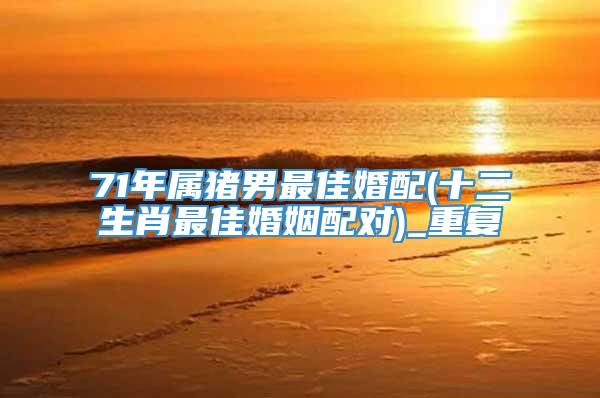 71年属猪男最佳婚配(十二生肖最佳婚姻配对)_重复