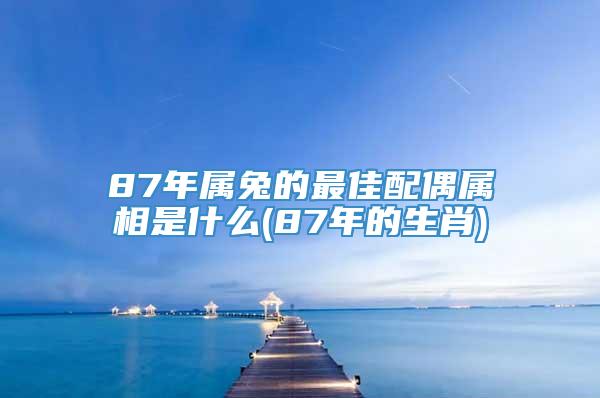 87年属兔的最佳配偶属相是什么(87年的生肖)