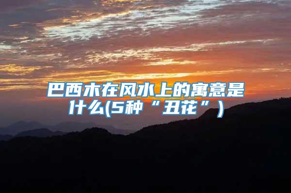 巴西木在风水上的寓意是什么(5种“丑花”)