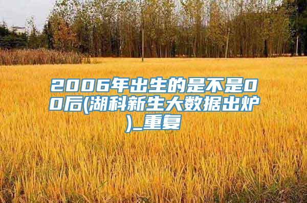 2006年出生的是不是00后(湖科新生大数据出炉)_重复