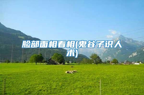 脸部面相看相(鬼谷子识人术)