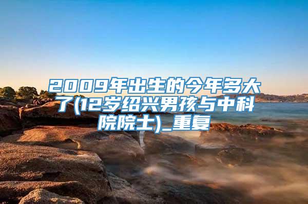 2009年出生的今年多大了(12岁绍兴男孩与中科院院士)_重复