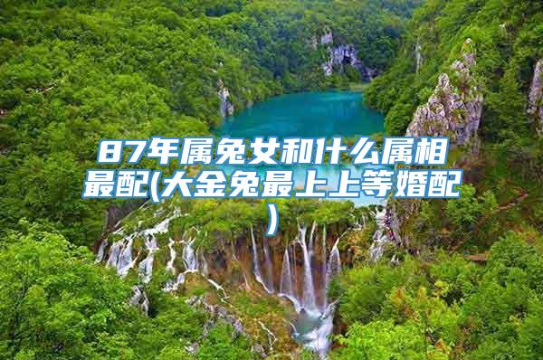 87年属兔女和什么属相最配(大金兔最上上等婚配)