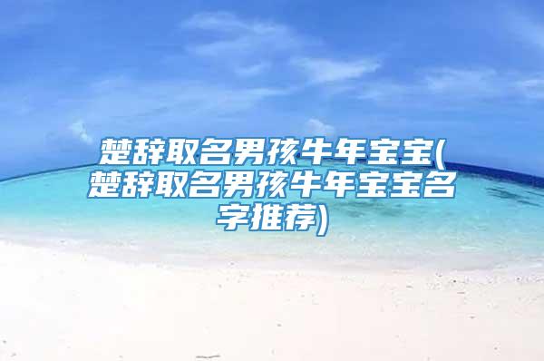 楚辞取名男孩牛年宝宝(楚辞取名男孩牛年宝宝名字推荐)