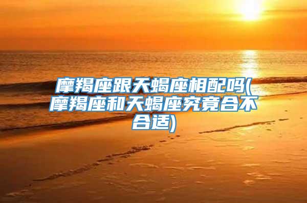 摩羯座跟天蝎座相配吗(摩羯座和天蝎座究竟合不合适)