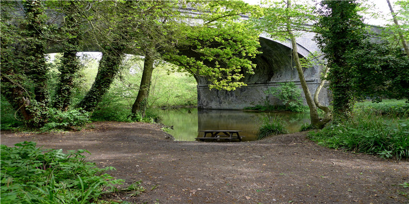 千万别被名字迷惑了！这5所大学实力非常不错，但很多人却忽视了