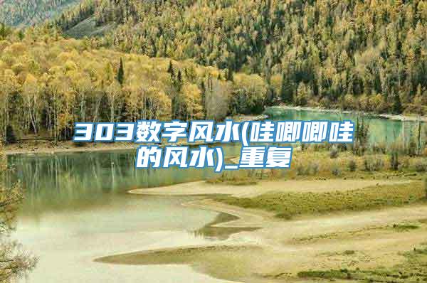 303数字风水(哇唧唧哇的风水)_重复