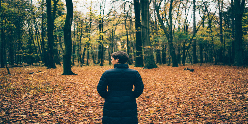 十二生肖属鸡的人2021年的虚岁年龄和实际周岁