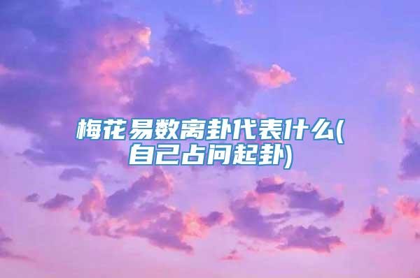 梅花易数离卦代表什么(自己占问起卦)