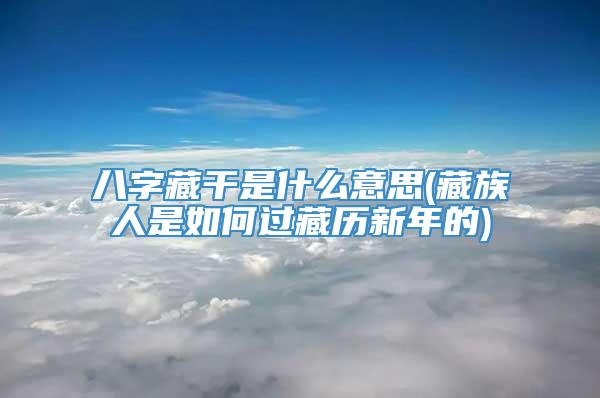 八字藏干是什么意思(藏族人是如何过藏历新年的)