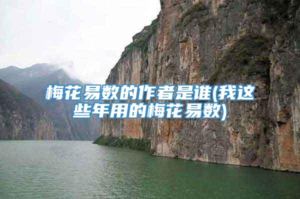梅花易数的作者是谁(我这些年用的梅花易数)
