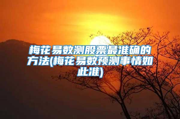 梅花易数测股票最准确的方法(梅花易数预测事情如此准)