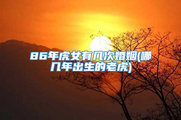 86年虎女有几次婚姻(哪几年出生的老虎)