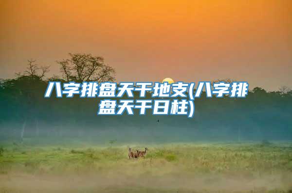 八字排盘天干地支(八字排盘天干日柱)