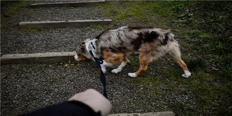 飘雪变装天花板?林一被虞书欣小号表白,还和祝绪丹穿情侣装?