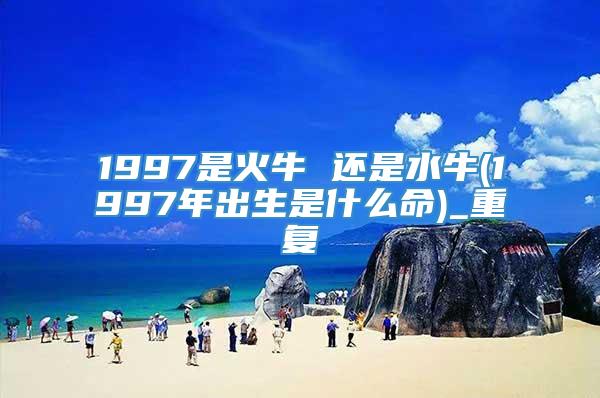 1997是火牛 还是水牛(1997年出生是什么命)_重复