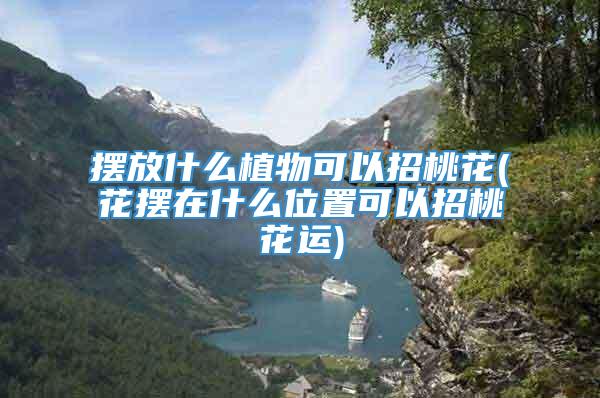 摆放什么植物可以招桃花(花摆在什么位置可以招桃花运)