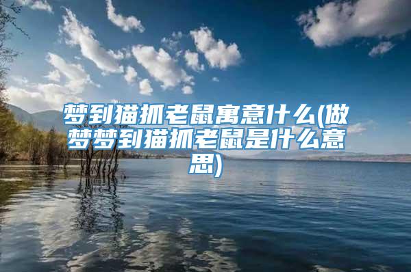 梦到猫抓老鼠寓意什么(做梦梦到猫抓老鼠是什么意思)