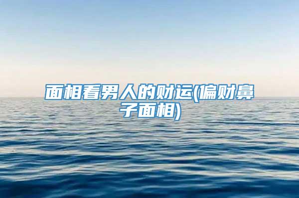 面相看男人的财运(偏财鼻子面相)