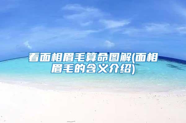 看面相眉毛算命图解(面相眉毛的含义介绍)