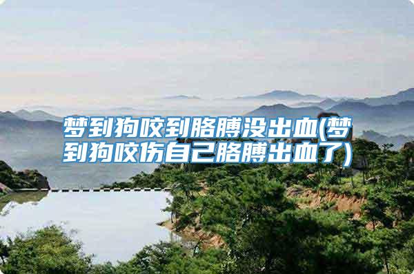 梦到狗咬到胳膊没出血(梦到狗咬伤自己胳膊出血了)