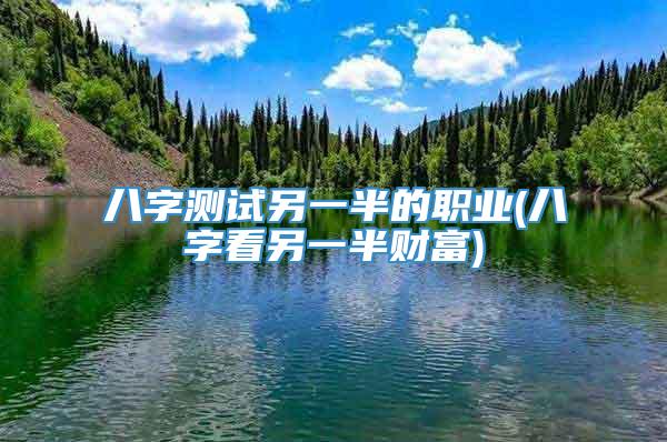 八字测试另一半的职业(八字看另一半财富)