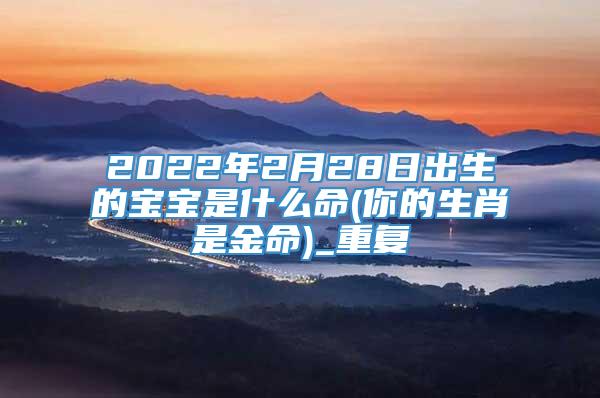 2022年2月28日出生的宝宝是什么命(你的生肖是金命)_重复