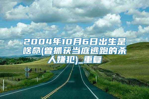 2004年10月6日出生是啥命(曾抓获当庭逃跑的杀人嫌犯)_重复