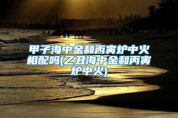 甲子海中金和丙寅炉中火相配吗(乙丑海中金和丙寅炉中火)