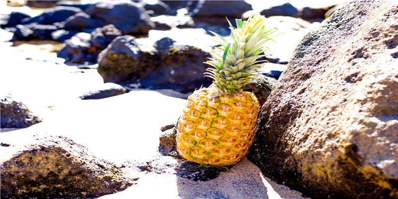飘雪变装天花板?林一被虞书欣小号表白,还和祝绪丹穿情侣装?